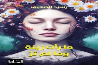 رواية ما رأت زينة وما لم تر – رشيد الضعيف